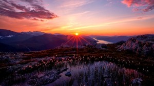 sunrise